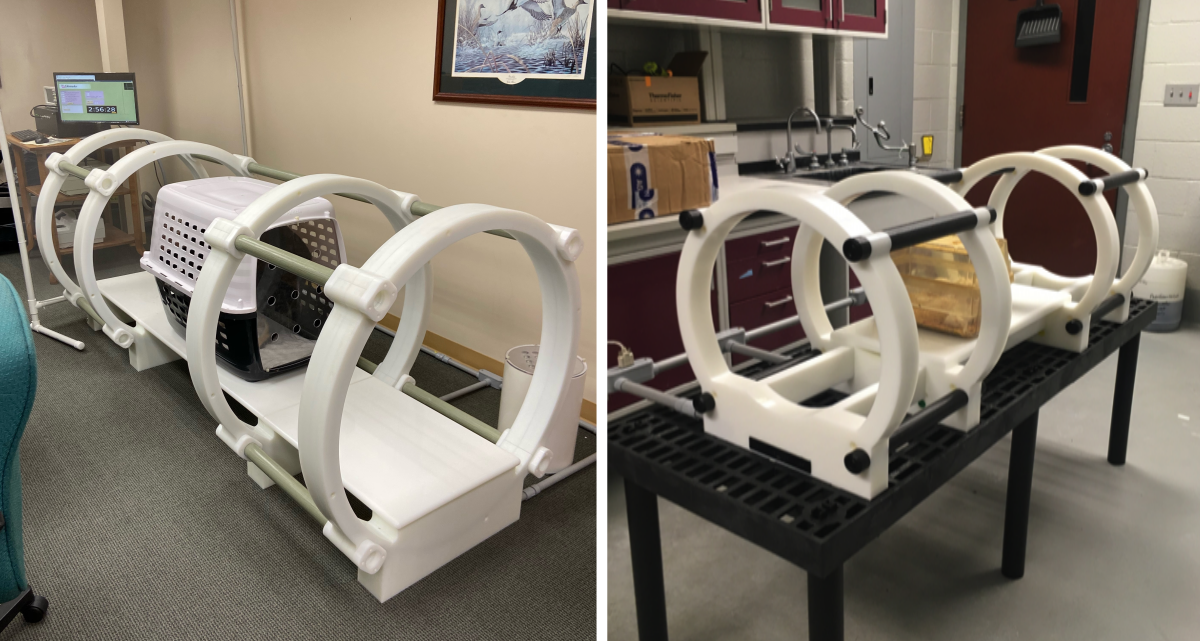 Coaxial Ring pulsed electric field devices: human-scale prototype (8 feet long, 35 inch diameter) and animal-scale prototype (4 feet long, 18 inch diameter)